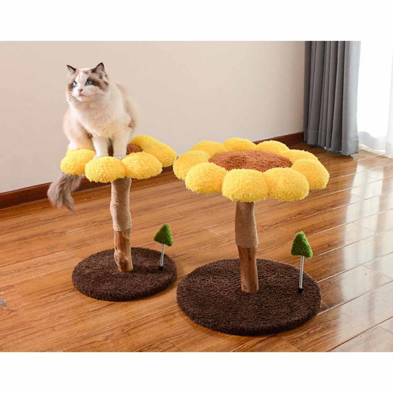 Γατόδεντρο - Ονυχοδρόμιο λουλούδι Υ46×35×35εκ.