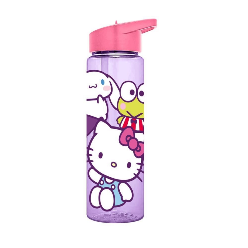 Παιδικό Παγούρι Hello kitty PP 600ml Παιδικό Παγούρι Hello kitty PP 600ml