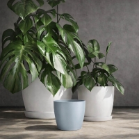 Κασπώ Regula γκρι Y13,2xΦ15,8εκ.