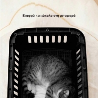 Κλουβί μεταφοράς κατοικιδίων πλαστικό Υ37×58×37εκ.