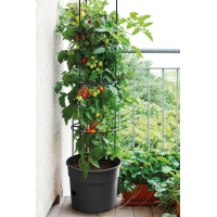 Γλαστράκι Tomato Grower, Y31,5x∅39,2εκ