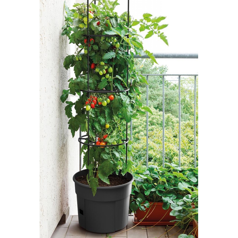 Γλαστράκι Tomato Grower, Y31,5x∅39,2εκ