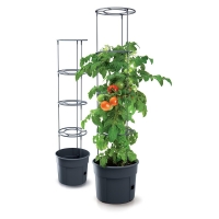 Γλαστράκι Tomato Grower, Y31,5x∅39,2εκ