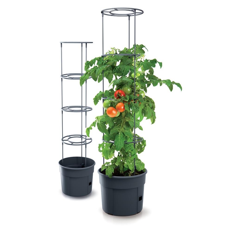 Γλαστράκι Tomato Grower, Y31,5x∅39,2εκ