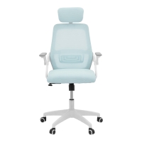 Καρέκλα γραφείου Peja pakoworld mesh ύφασμα μέντα-σκελετός λευκό 58x60x107-117εκ