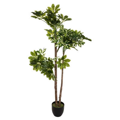 Φυτό σε γλάστρα Green6 pakoworld 70x65x135εκ Φυτό σε γλάστρα Green6 pakoworld 70x65x135εκ