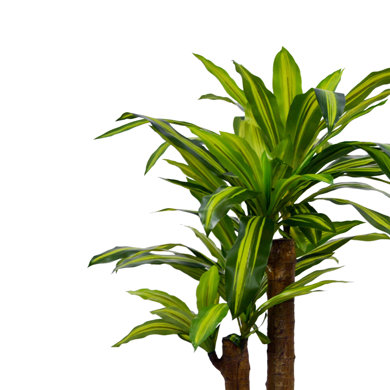 Διακοσμητικό φυτό Dracaena σε γλάστρα Inart πράσινο pp Υ110εκ Διακοσμητικό φυτό Dracaena σε γλάστρα Inart πράσινο pp Υ110εκ
