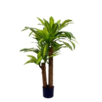 Διακοσμητικό φυτό Dracaena σε γλάστρα Inart πράσινο pp Υ110εκ Διακοσμητικό φυτό Dracaena σε γλάστρα Inart πράσινο pp Υ110εκ