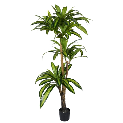 Διακοσμητικό φυτό Dracaena I σε γλάστρα Inart  πράσινο pp Υ170εκ Διακοσμητικό φυτό Dracaena I σε γλάστρα Inart  πράσινο pp Υ170εκ