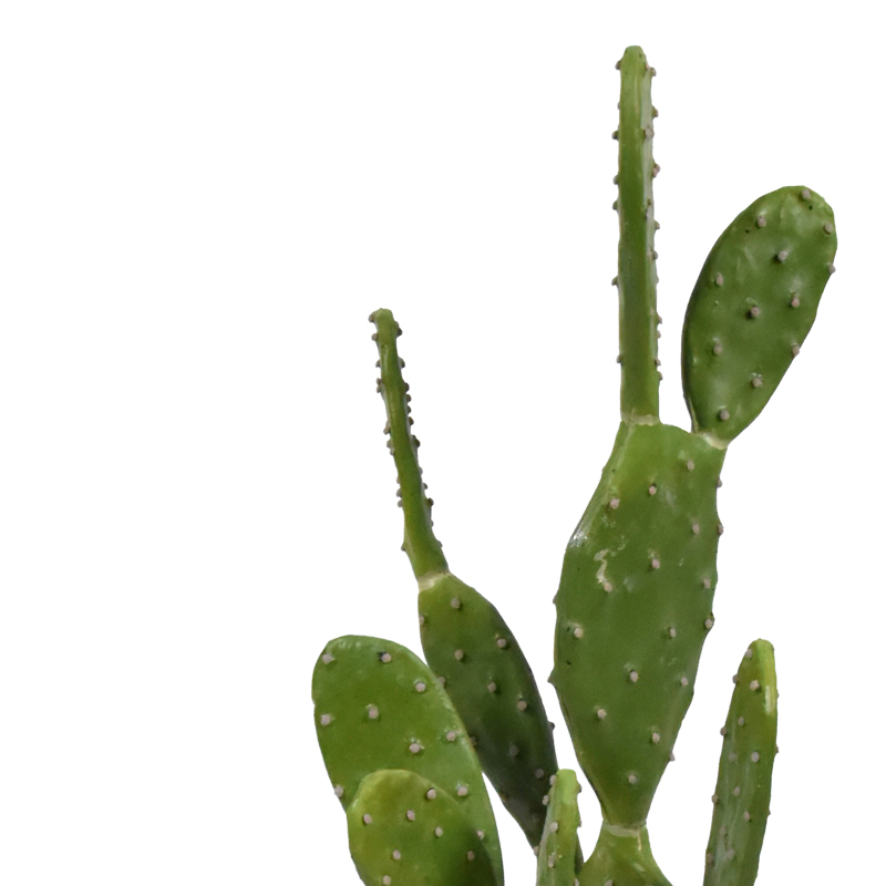 Διακοσμητικό φυτό Cactus σε γλάστρα Inart πράσινο pp Υ64εκ Διακοσμητικό φυτό Cactus σε γλάστρα Inart πράσινο pp Υ64εκ