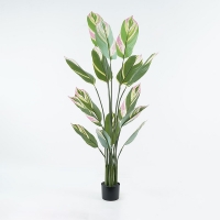 Διακοσμητικό φυτό σε γλάστρα Aglaonema Inart πράσινο Φ80x150εκ