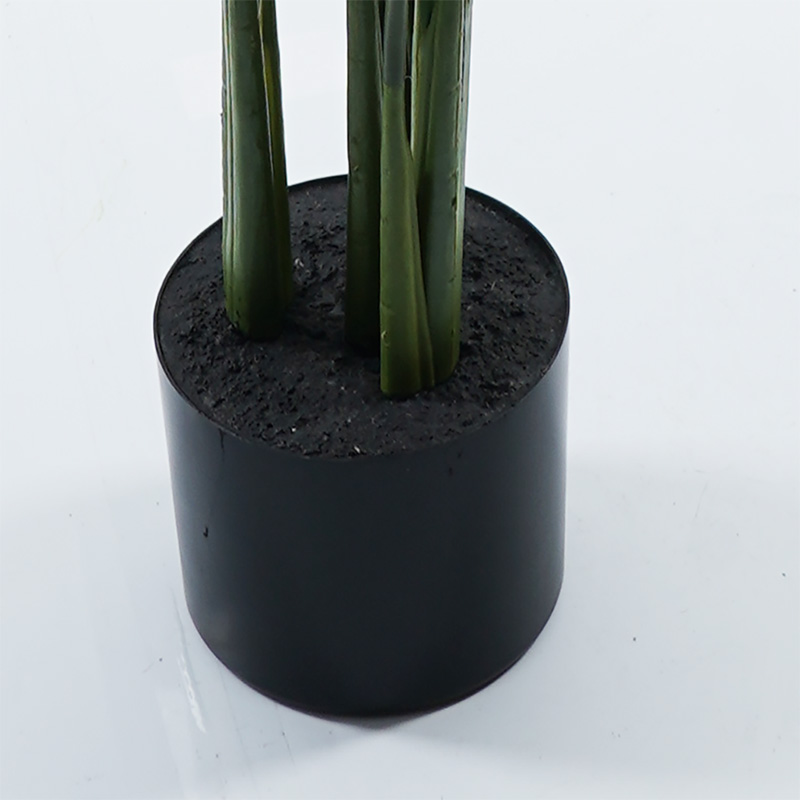 Διακοσμητικό φυτό σε γλάστρα Calathea Inart πράσινο Φ68x120εκ