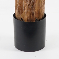 Διακοσμητικό φυτό σε γλάστρα Banana Tree Inart πράσινο Φ53x190εκ