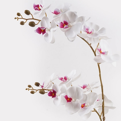 Διακοσμητικό φυτό σε γλάστρα Οrchid White Inart 36x17x65εκ Διακοσμητικό φυτό σε γλάστρα Οrchid White Inart 36x17x65εκ