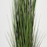 Διακοσμητικό φυτό σε γλάστρα Βoxwood Inart πράσινο Φ46x150εκ