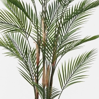 Διακοσμητικό φυτό σε γλάστρα Kwai Inart πράσινο Φ92x150εκ