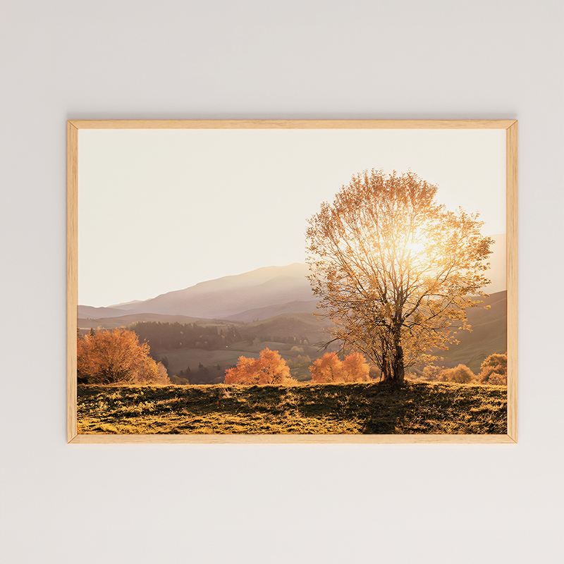 Πίνακας Vila pakoworld με ψηφιακή εκτύπωση και πλαίσιο 48x1.5x33εκ Πίνακας Vila pakoworld με ψηφιακή εκτύπωση και πλαίσιο 48x1.5x33εκ