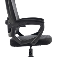 Καρέκλα γραφείου διευθυντή Exeter pakoworld mesh χρώμα μαύρο 50x58x119-129εκ