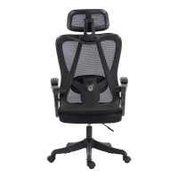 Καρέκλα γραφείου διευθυντή Exeter pakoworld mesh χρώμα μαύρο 50x58x119-129εκ