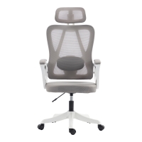 Καρέκλα γραφείου διευθυντή Exeter pakoworld λευκή - mesh γκρι 50x58x119-129εκ