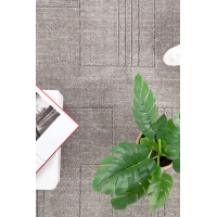 Χαλί Dune 603 382 Royal Carpet - 160 x 230 cm Χαλί Dune 603 382 Royal Carpet - 160 x 230 cm