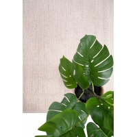 Χαλί Matisse 29230 Royal Carpet - 67 x 200 cm Χαλί Matisse 29230 Royal Carpet - 67 x 200 cm