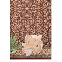 Κλασικό Χαλί Sherazad 6461 8302 RED Royal Carpet - 200 x 250 cm