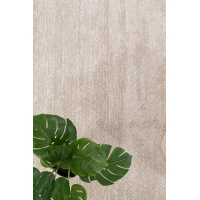 Μοντέρνο Χαλί Solid 1391 CREAM Royal Carpet - 70 x 140 cm